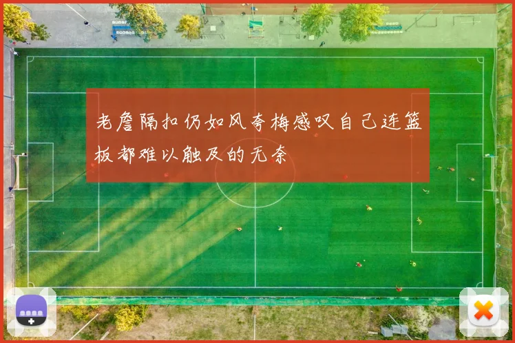 老詹隔扣仍如风夸梅感叹自己连篮板都难以触及的无奈